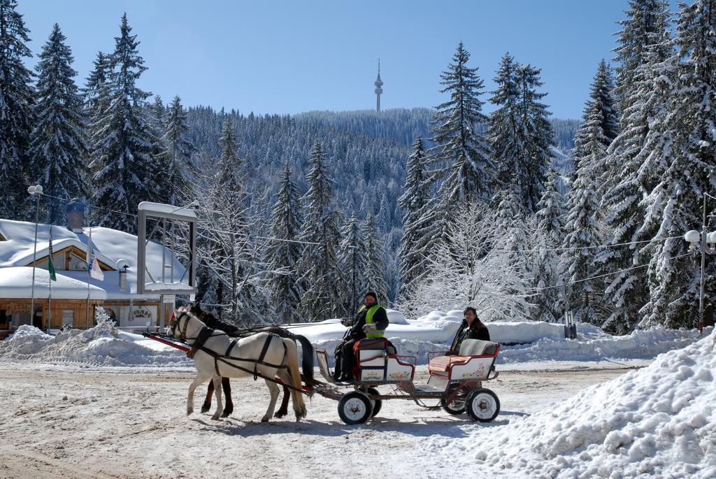 Hotel Prespa Pamporovo Eksteriør billede